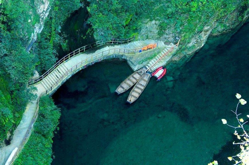 逃离月日森林